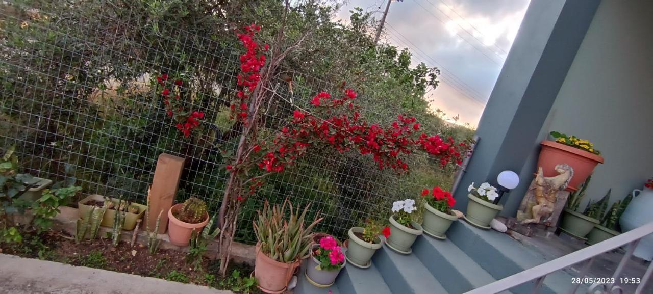 فيلا Marilidiahouse Tzigkouna المظهر الخارجي الصورة